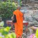 Tailandda din, buddizm, monastir hayotni sariq kiyim-kechaklar Buddist rohib tan olish