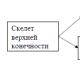 Head: biological terms and understanding