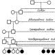 Methods for the study of heredity in humans