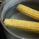 Скільки хвилин варити кукурудзу, щоб вона стала м'якою і смачною